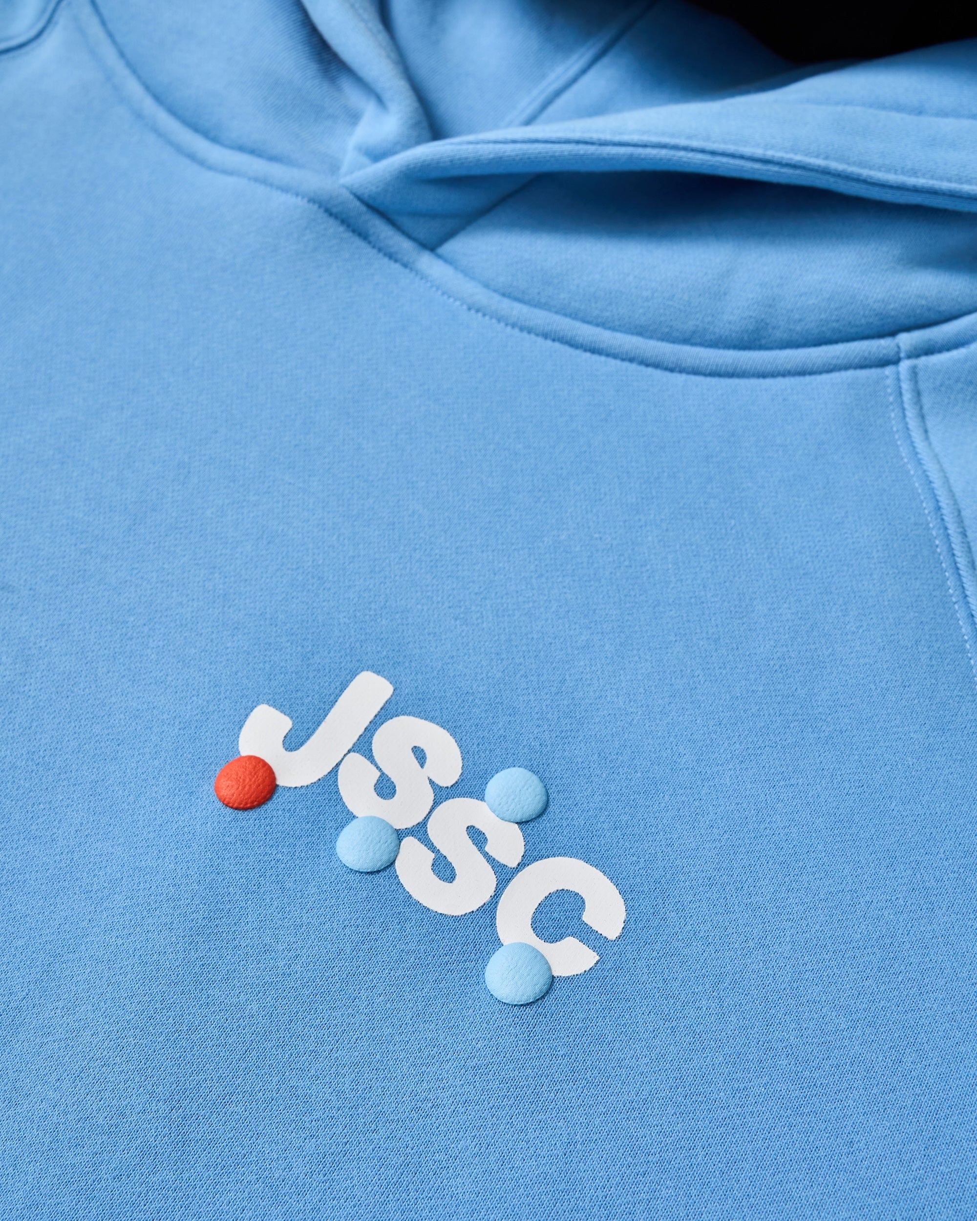 JAINASAURUS Grown-Up Hoodie – Jain Golf